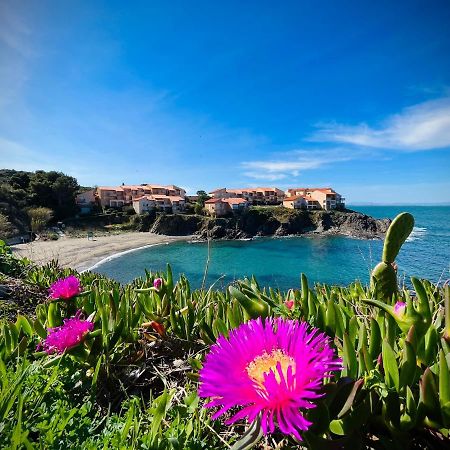 Chez Caro Lejlighed Port Vendres Eksteriør billede