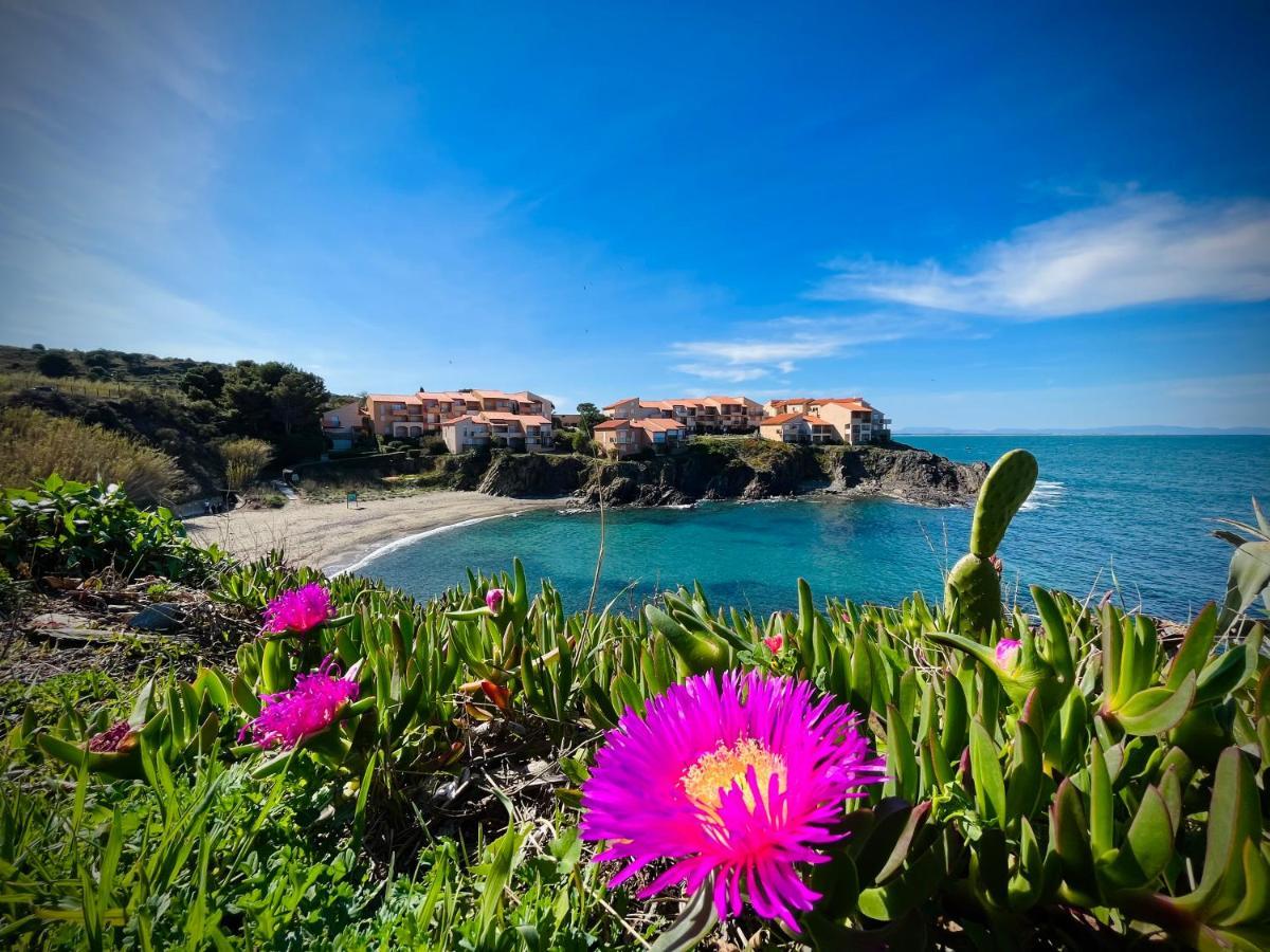 Chez Caro Lejlighed Port Vendres Eksteriør billede